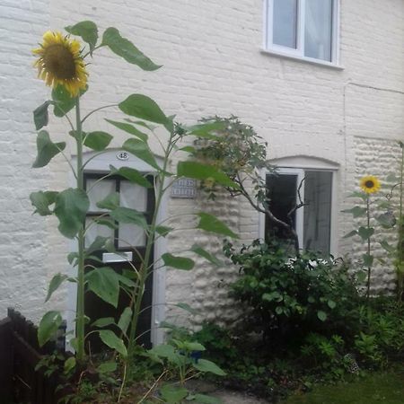 Mauds Cottage 1 West Raynham Ngoại thất bức ảnh